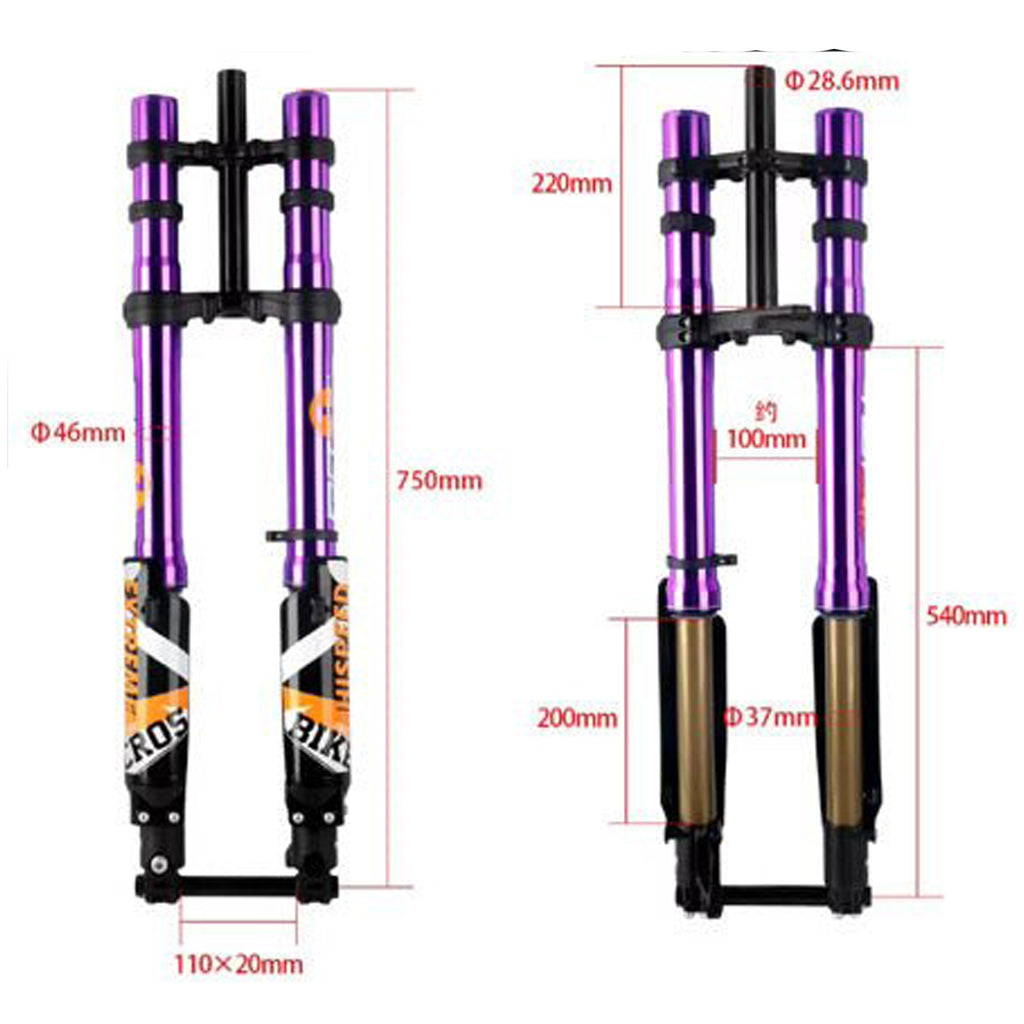 ALX13RC (2.0) FastAce Fork for E-Moto