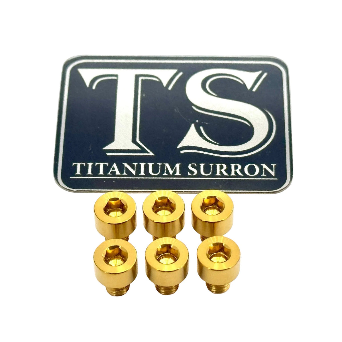 EBMX X9000 Heat Sink Titanium Bolt Kits (6) Titanium Surron