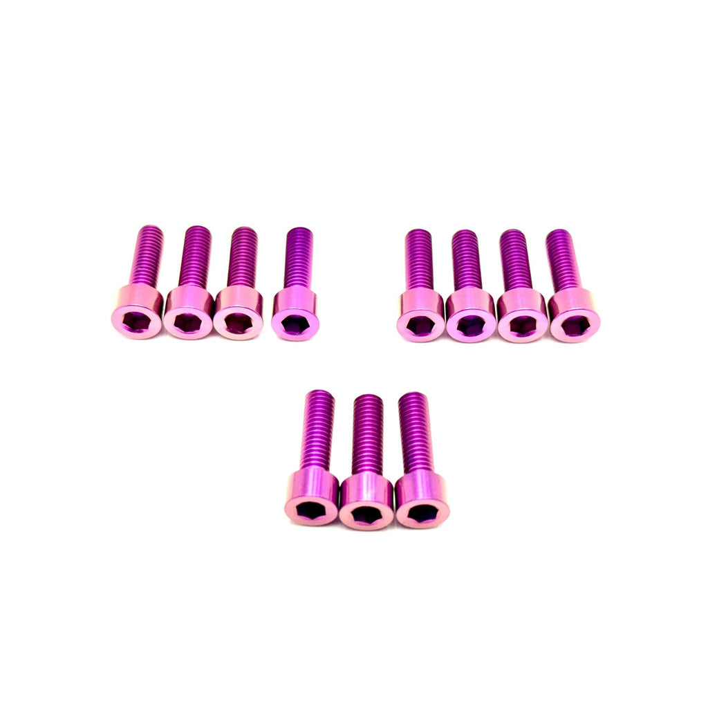 RST Fork Titanium Bolt Kit