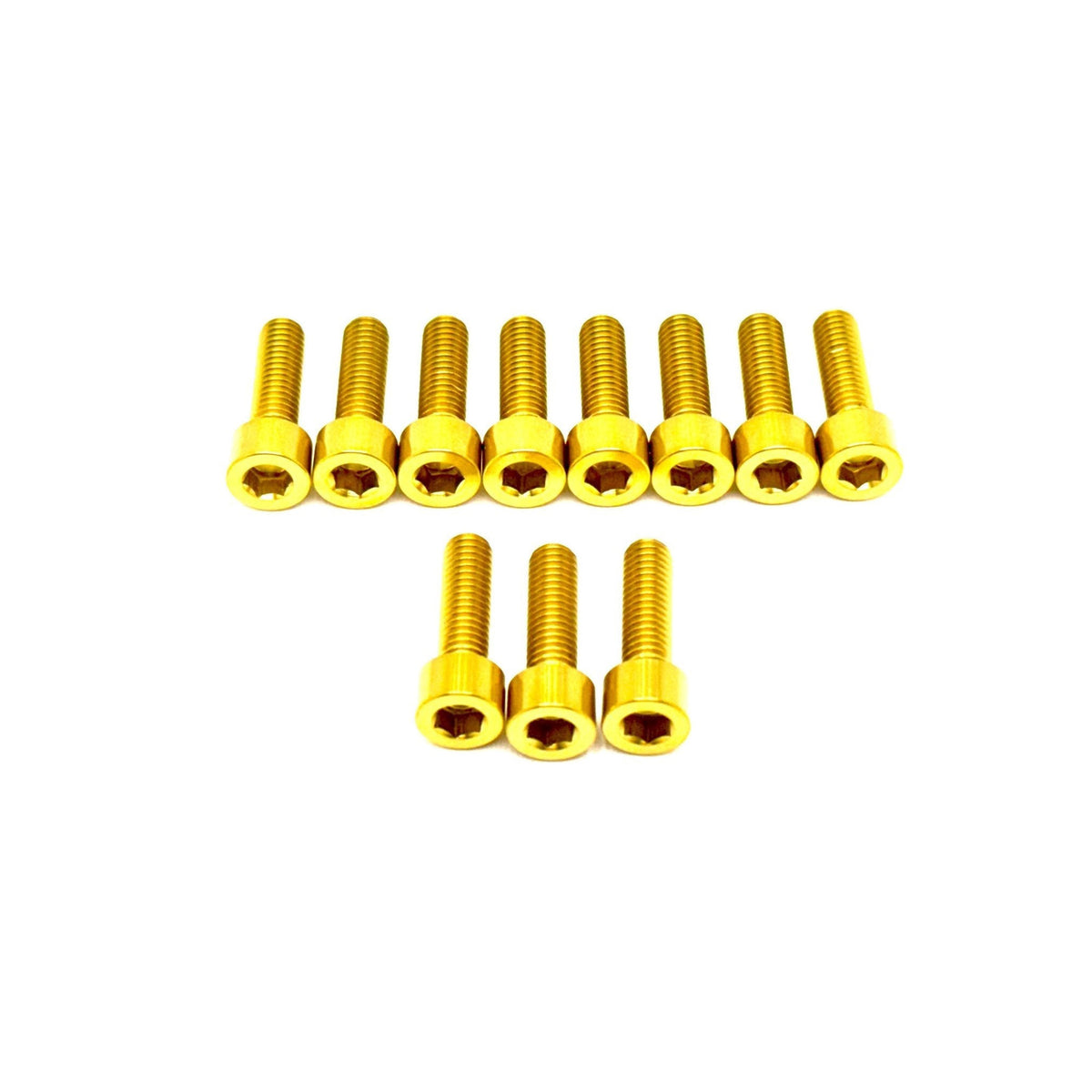 RST Fork Titanium Bolt Kit