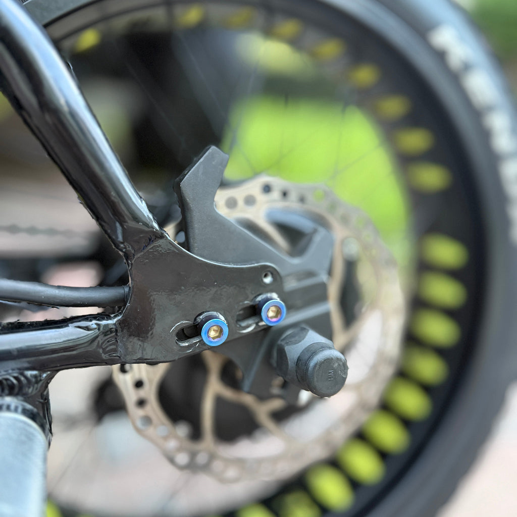 Close-up of a black bicycle frame component with two blue-tipped screws and a disc brake rotor, photographed outdoors with a blurred wheel and greenery in the background.