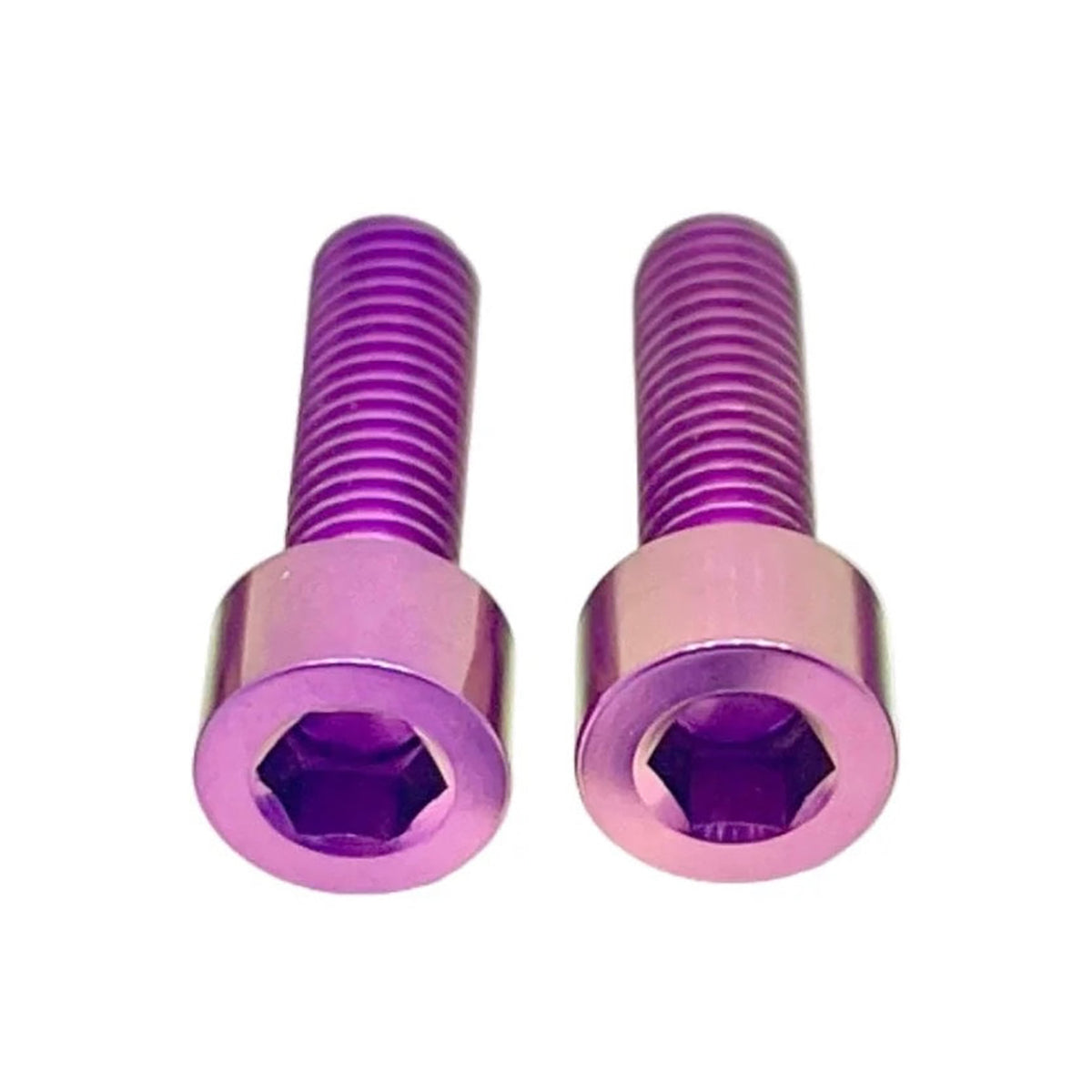 Talaria XXX Battery Hatch Bolts (set of 2)