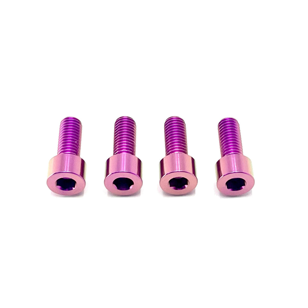 Titanium Bash Guard/ Skid Plate Bolts - Surron LBX & E-Ride Pro