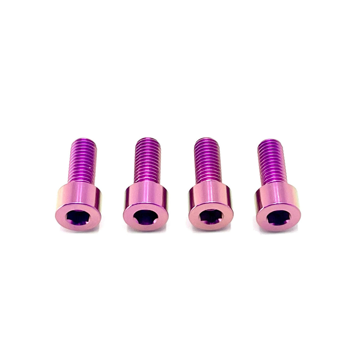 Titanium Bash Guard/ Skid Plate Bolts - Surron LBX & E-Ride Pro