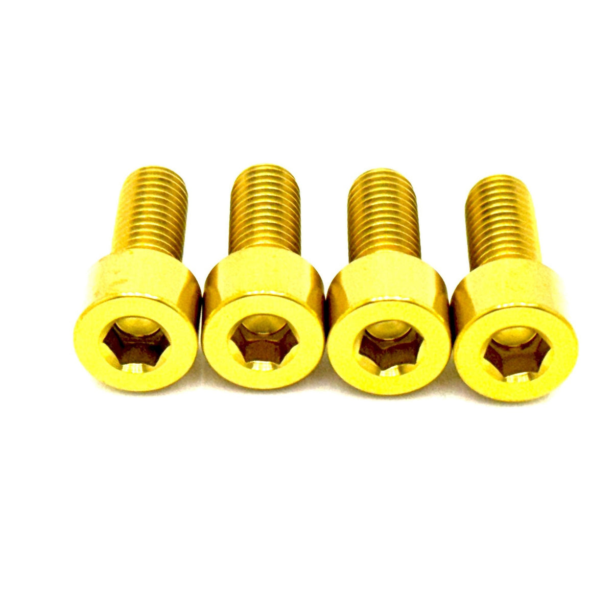 Titanium Bash Guard/ Skid Plate Bolts - Surron LBX & E-Ride Pro