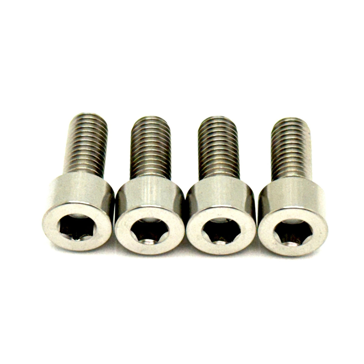 Titanium Bash Guard/ Skid Plate Bolts - Surron LBX & E-Ride Pro