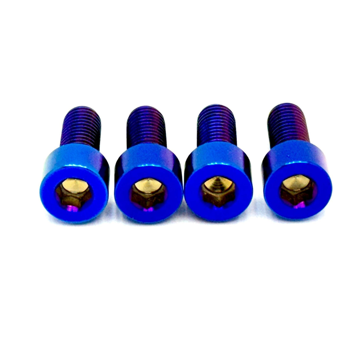 Titanium Bash Guard/ Skid Plate Bolts - Surron LBX & E-Ride Pro