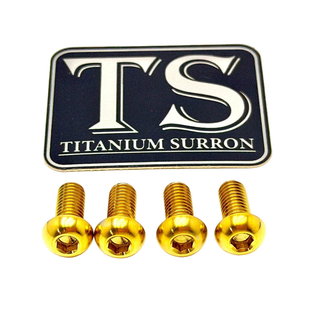 Titanium Controller Mount Bolts for E-moto