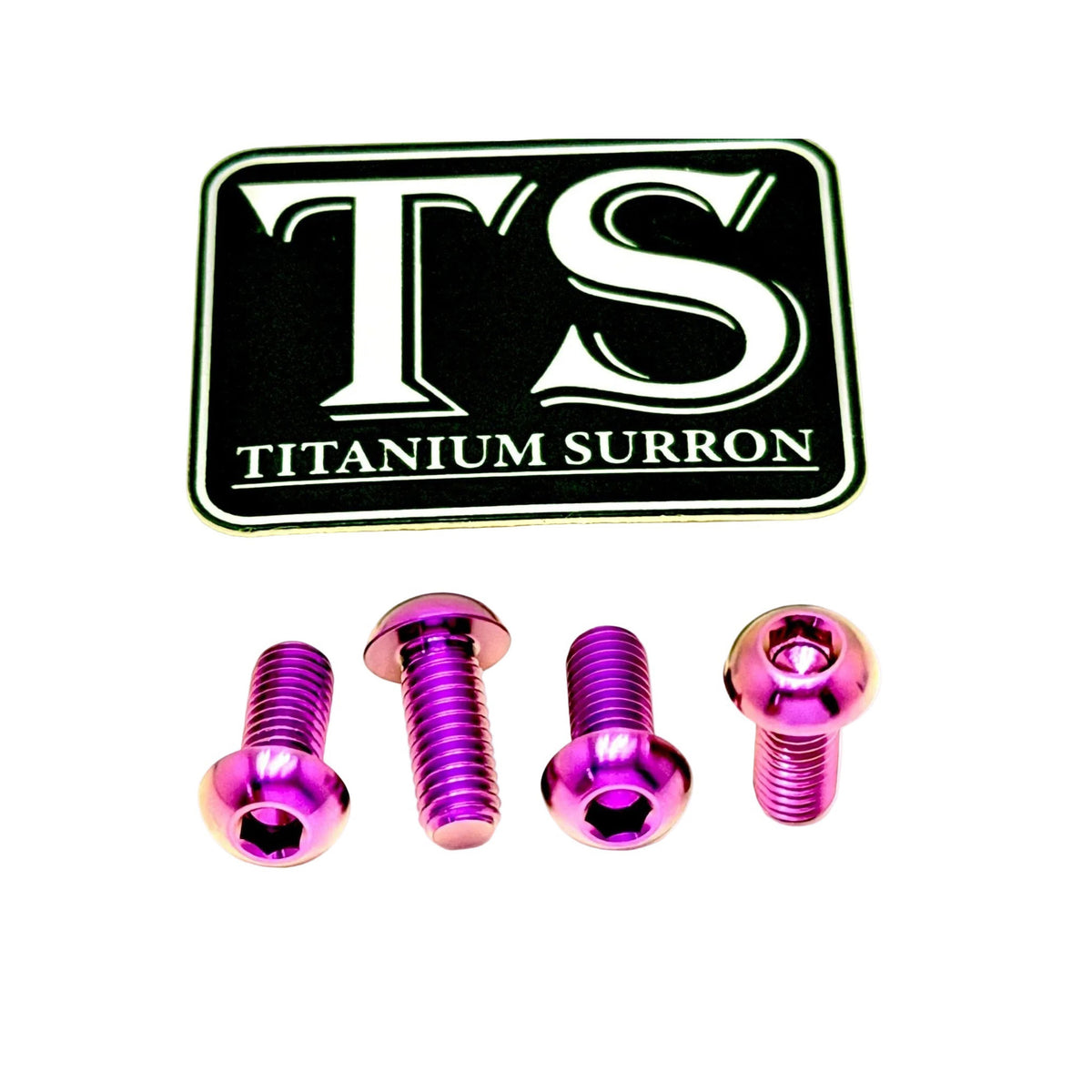 Titanium Controller Mount Bolts for E-moto