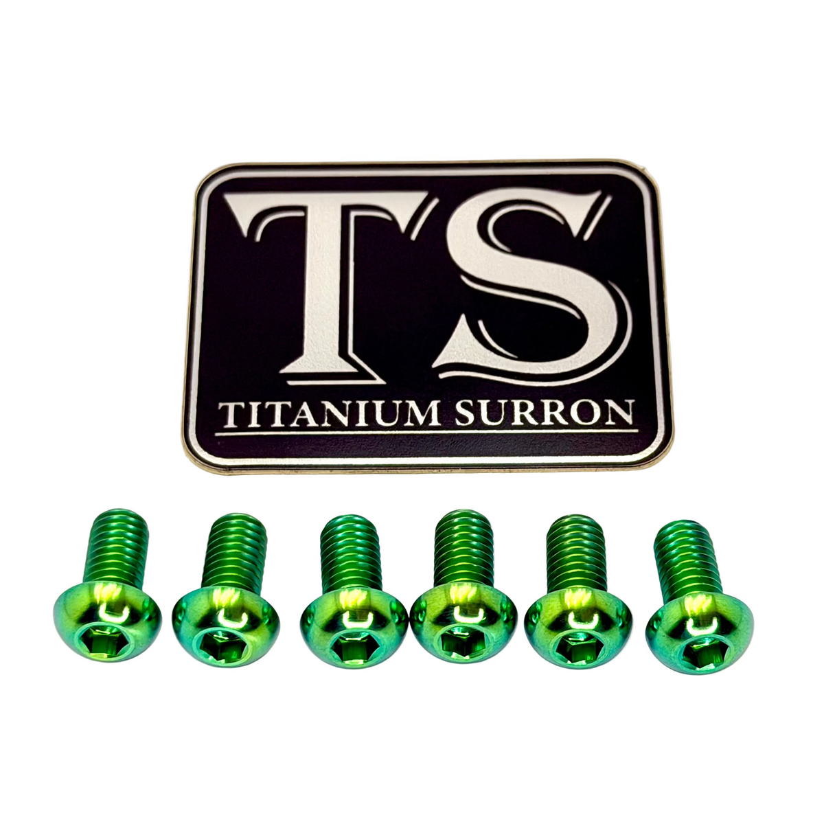 Titanium Controller Mount Bolts for E-moto