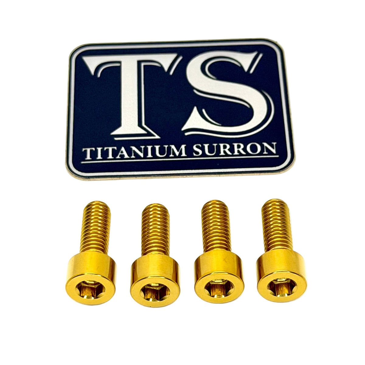 Titanium Controller Mount Bolts for E-moto
