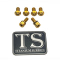 Titanium E-Moto Headlight Mount Bolts Titanium Surron