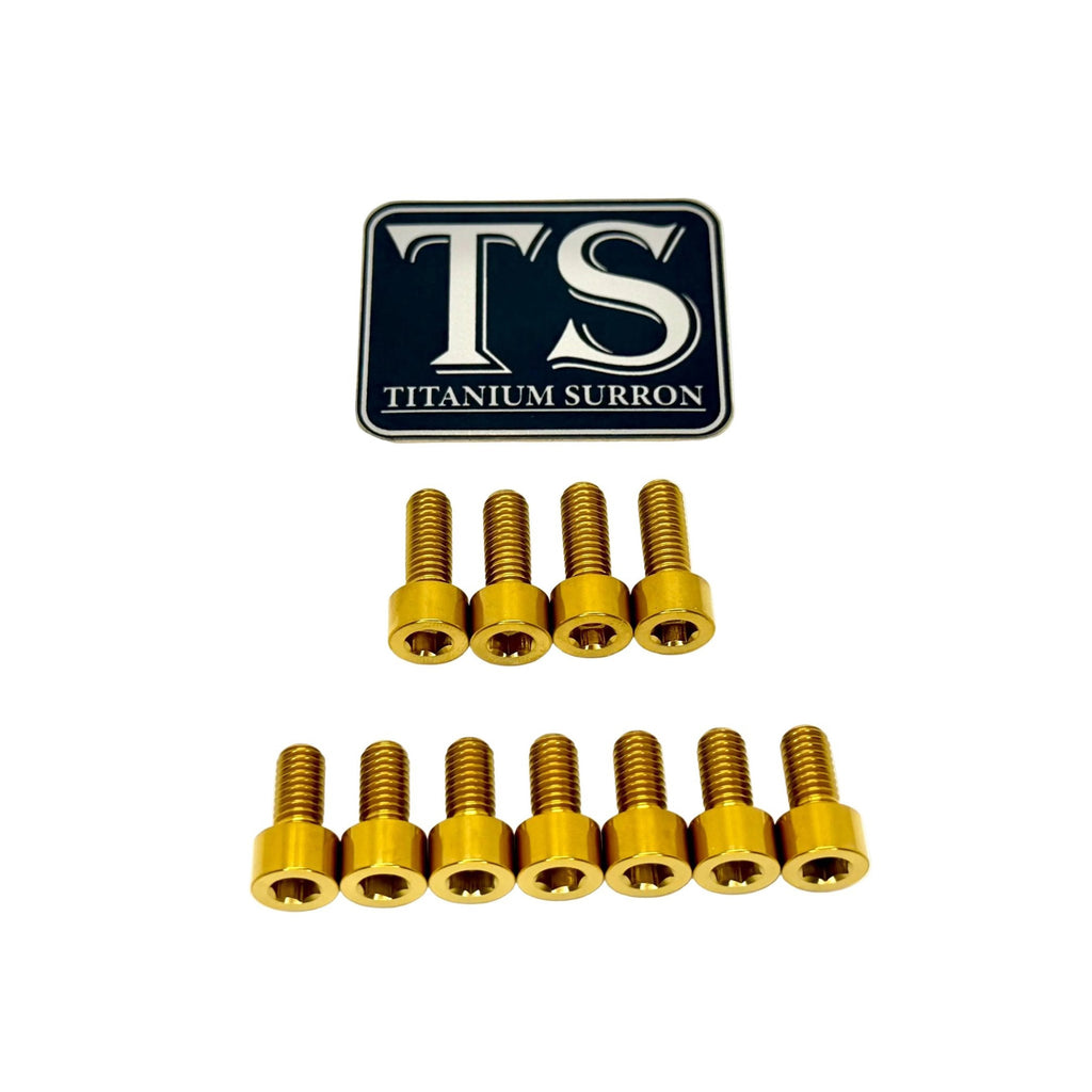 Titanium EXT Ferro Fork Bolt Kits