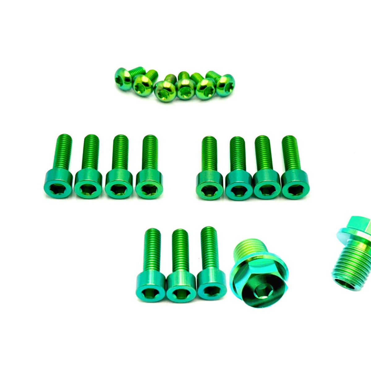 Titanium FastAce Fork Bolt Kits (All Models)
