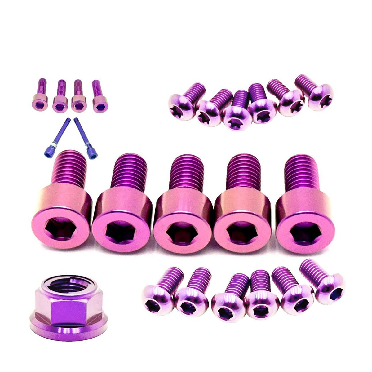 Titanium Front and Rear Wheel Bolt Kit