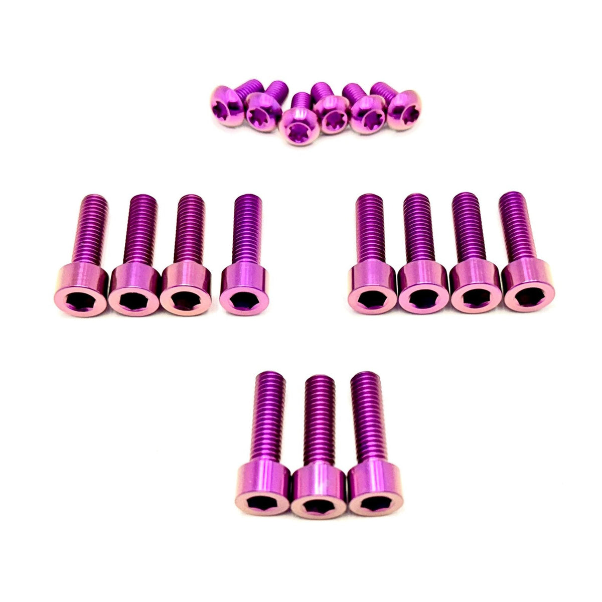 Titanium Manitou Dorado Fork Bolt Kits Titanium Surron