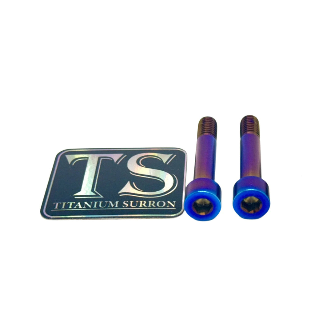 Titanium Motor Bolts - Rerode R1 (4 pcs) Titanium Surron