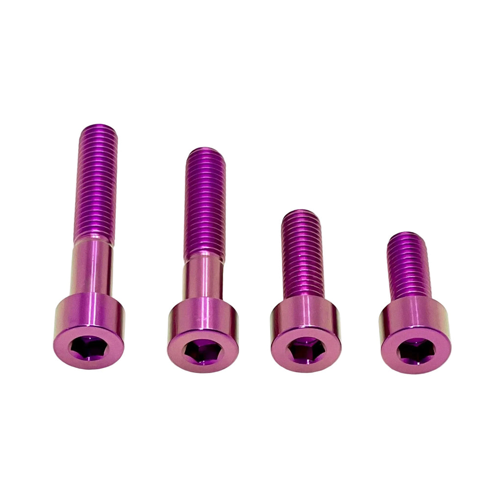 Titanium Motor Bolts - Surron LBX