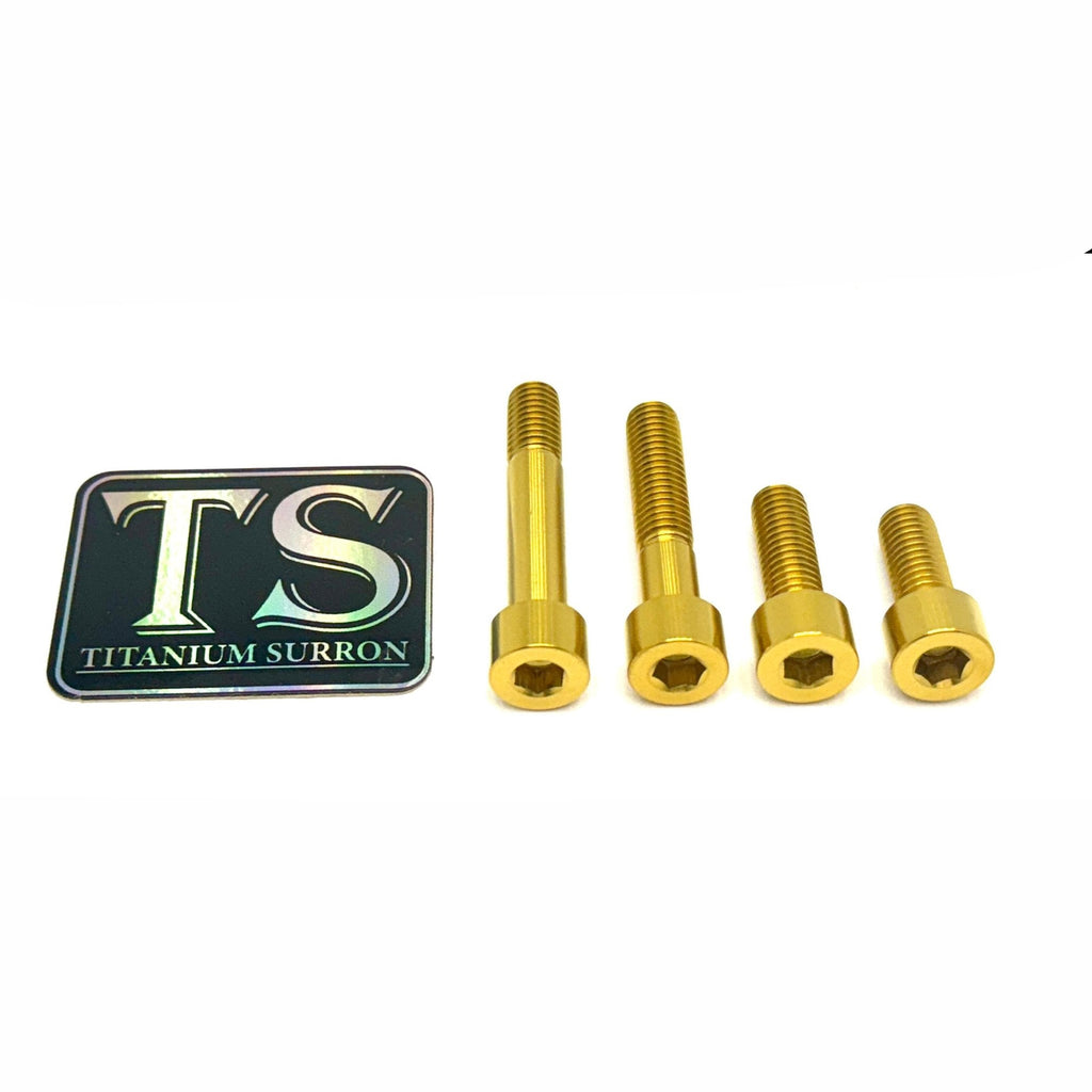 Titanium Motor Bolts - Talaria XXX Titanium Surron