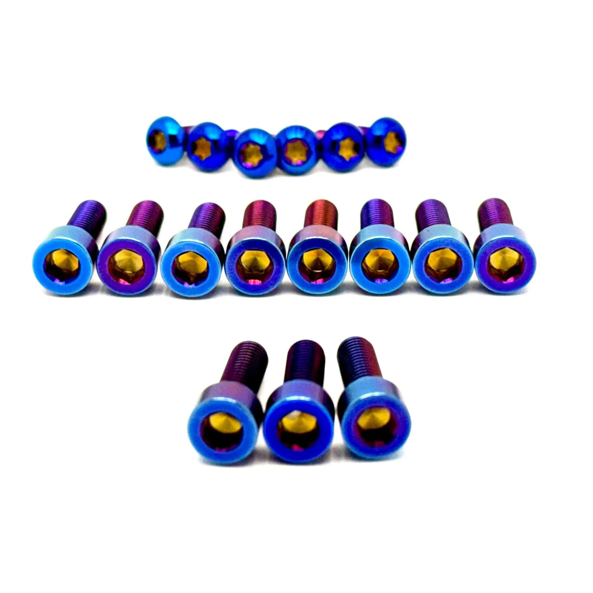 Titanium RFloXa Hawk 31 Pro and Max Fork Bolt Kits (21 pcs) Axbolts