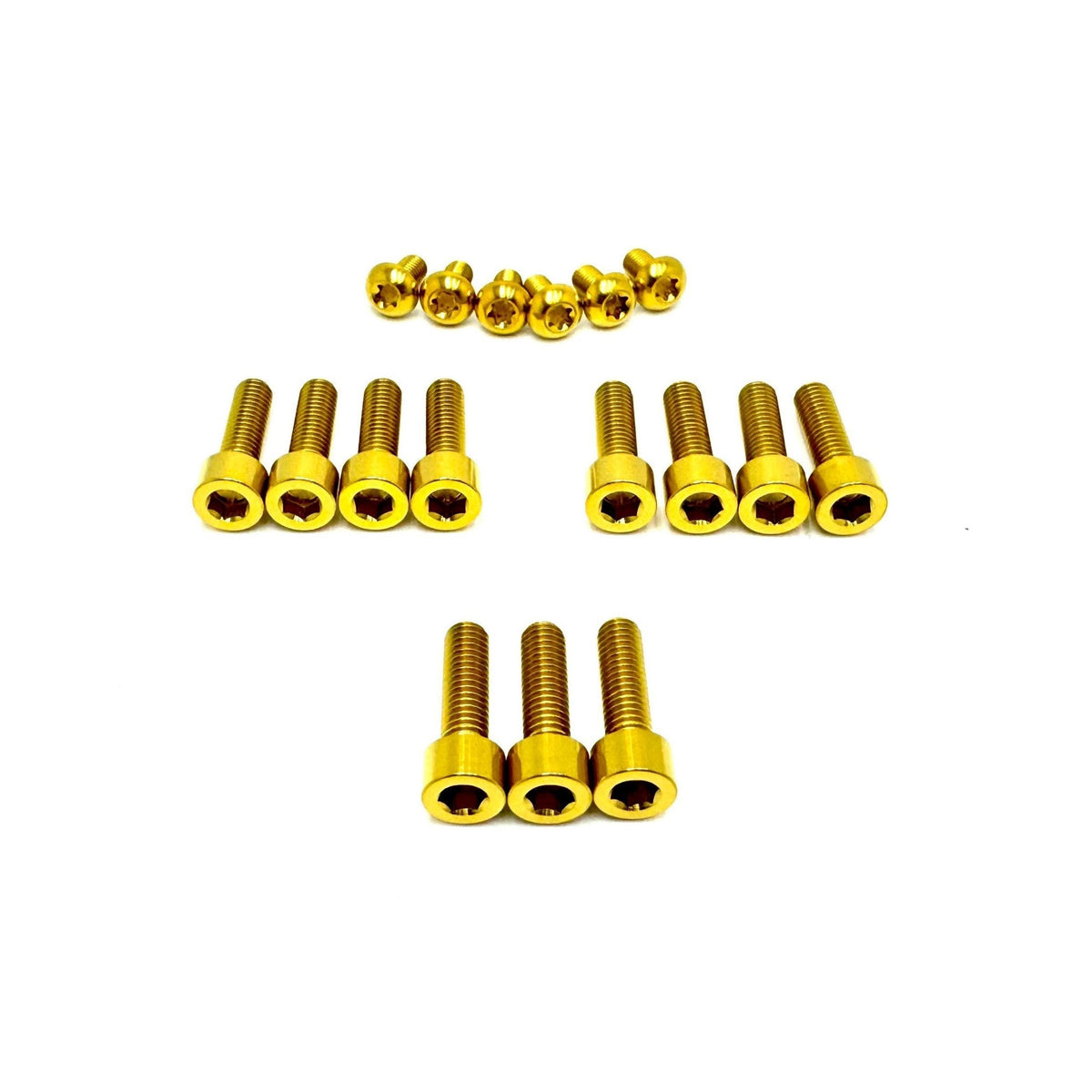 Titanium RFloXa Hawk 35 Pro and Max Fork Bolt Kits (21 pcs) Titanium Surron