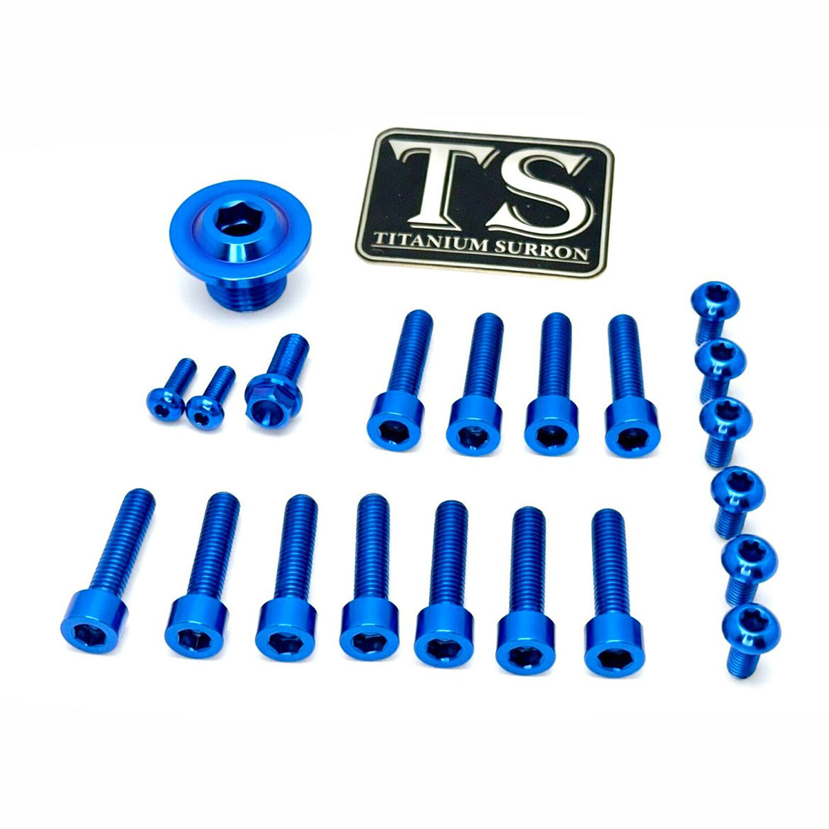 Titanium Surron Ultra Bee OEM Fork Bolt Kit Titanium Surron