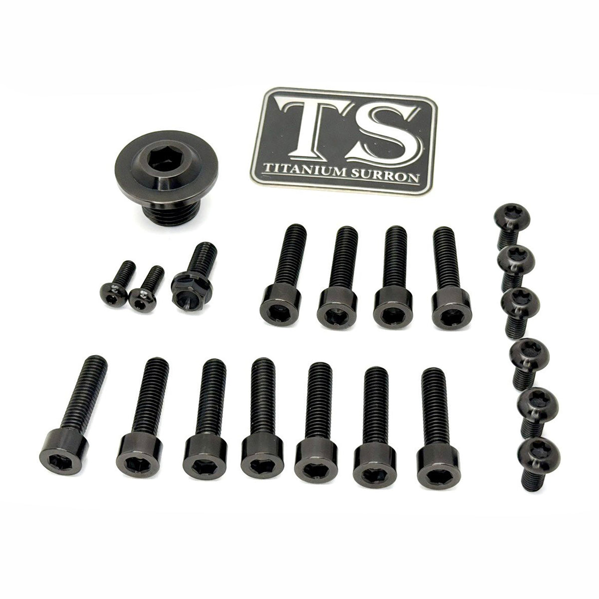Titanium Surron Ultra Bee OEM Fork Bolt Kit Titanium Surron