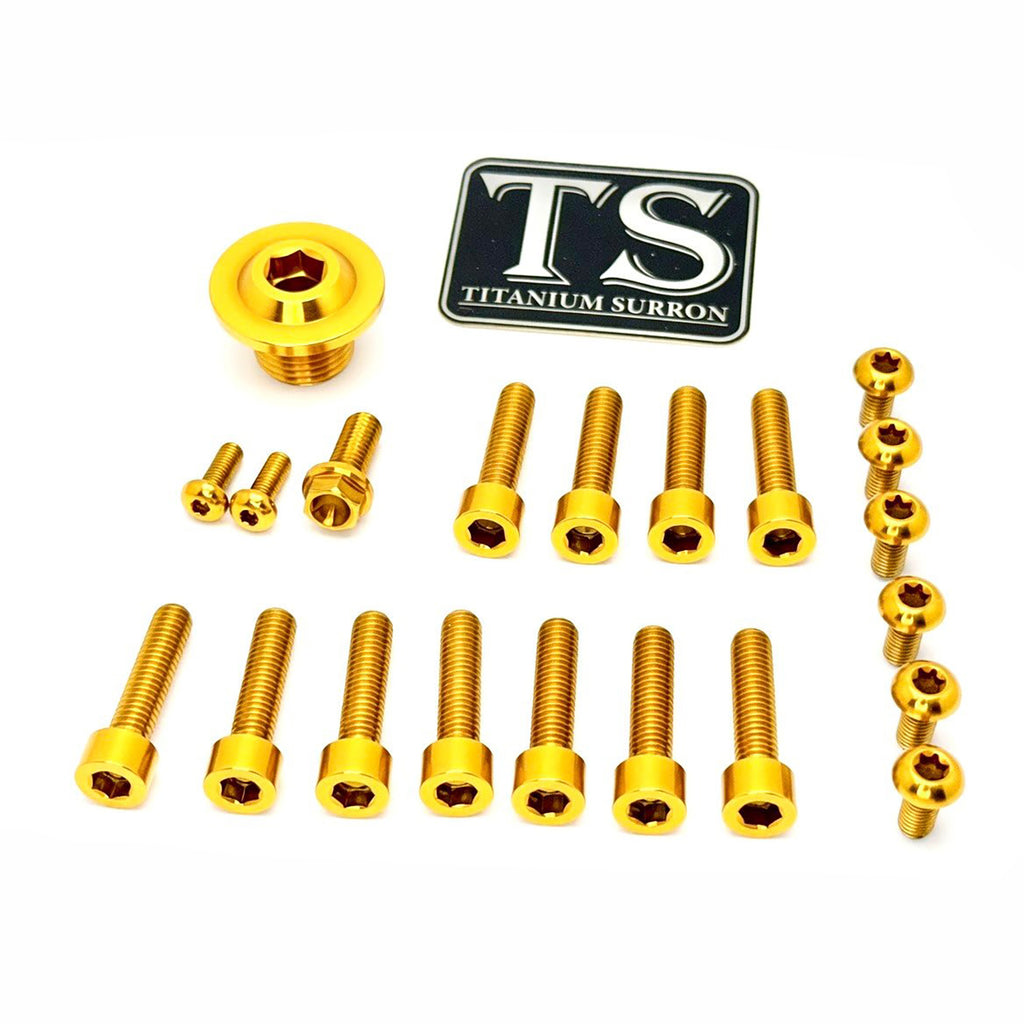 Titanium Surron Ultra Bee OEM Fork Bolt Kit Titanium Surron