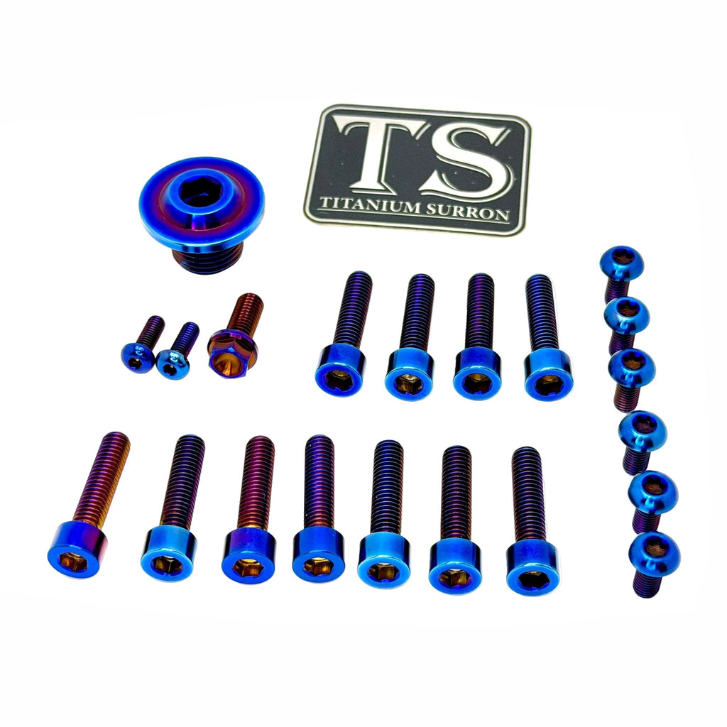 Titanium Surron Ultra Bee OEM Fork Bolt Kit Titanium Surron