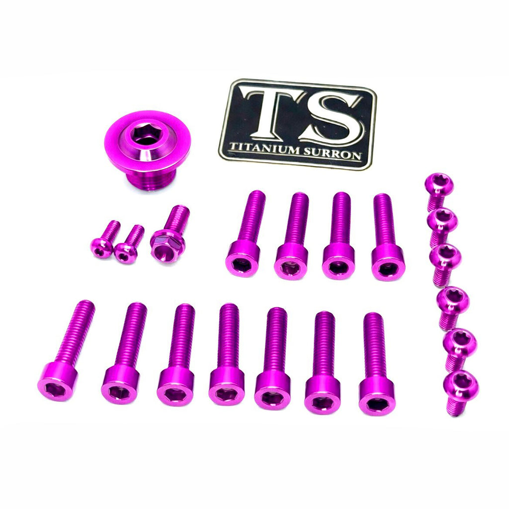 Titanium Surron Ultra Bee OEM Fork Bolt Kit Titanium Surron